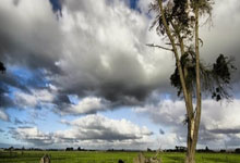 [NBA]哈登25+17 鹈鹕险胜快船.